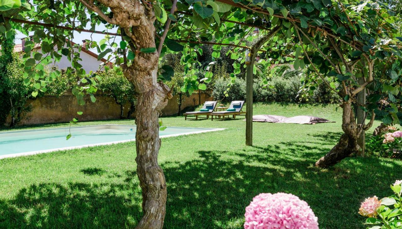 Torres Da Vila Anadia Luaran gambar